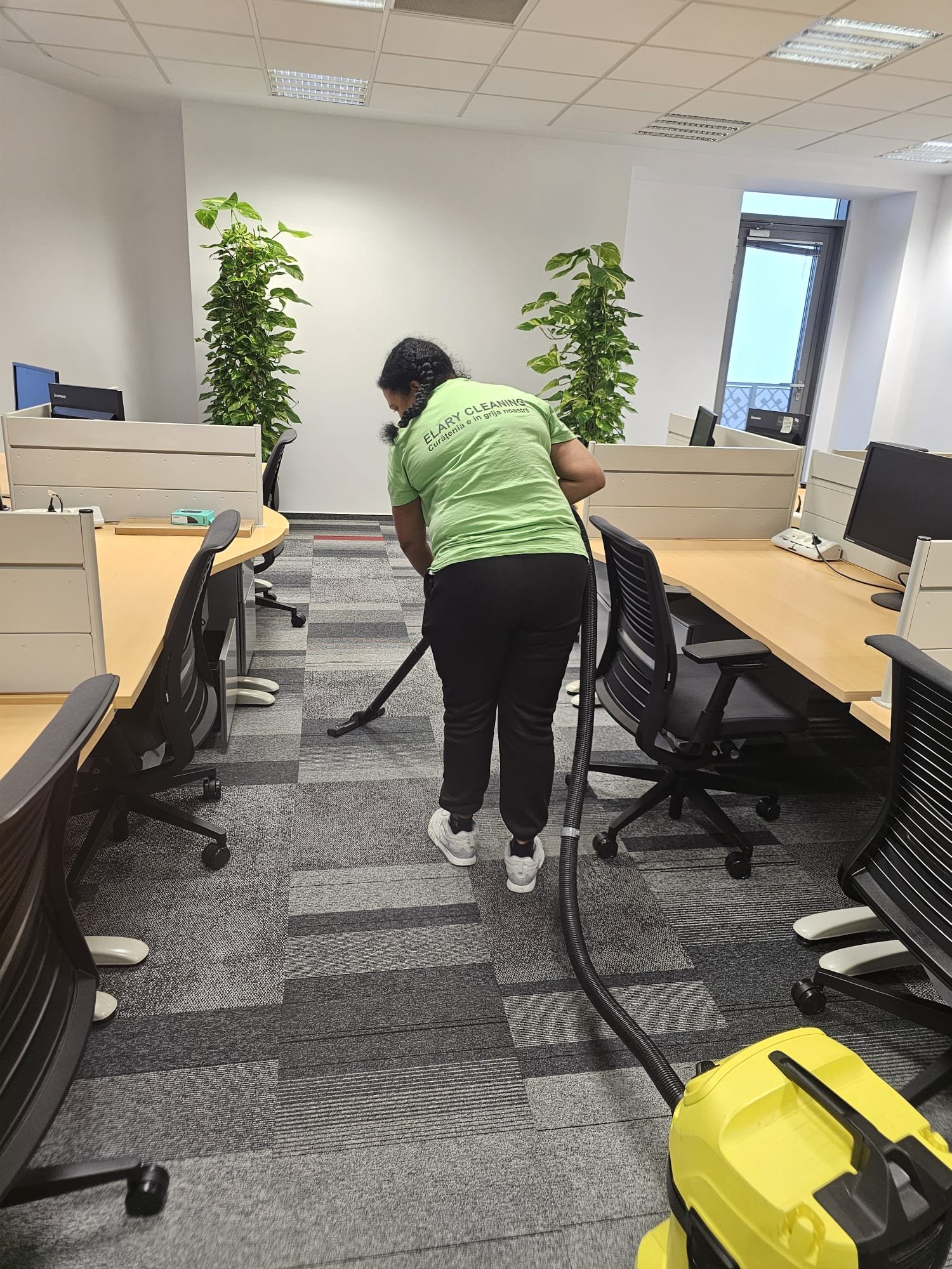 Echipă profesională